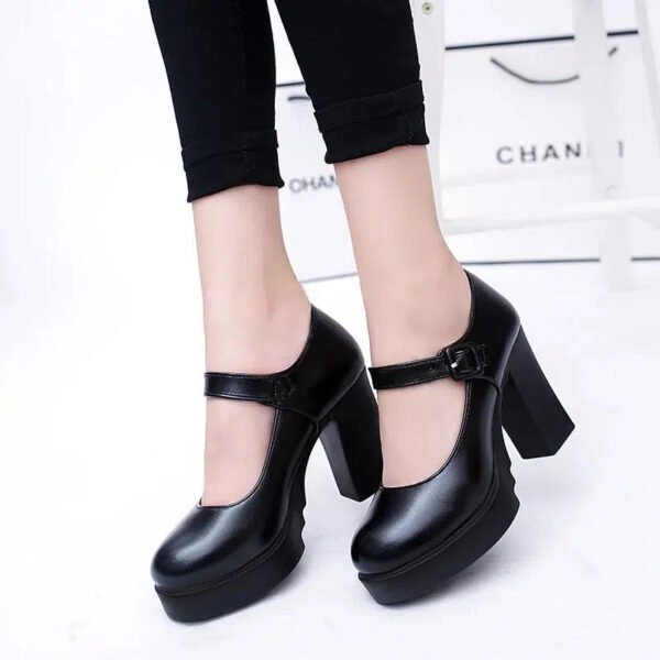 Fashion Work Shoes for Women Mary Jane Shoes 2024 Spring Thick Heel Platform Women's High Heels Trendy Comfortable Women's Shoes-Solefeat