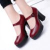 Fashion Work Shoes for Women Mary Jane Shoes 2024 Spring Thick Heel Platform Women's High Heels Trendy Comfortable Women's Shoes-Solefeat