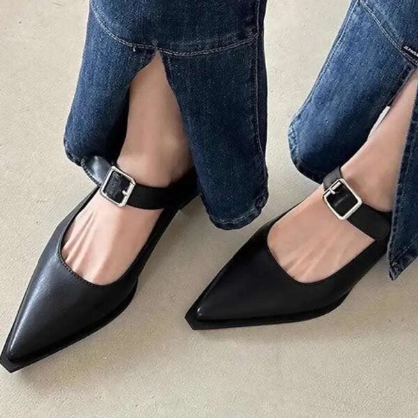 2024 Fashion Women's Sandals Summer Elegant Women's Pointed Low Heels Casual Low Heel Block Women's Sandals mary jane shoes-Solefeat