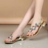 Summer New Leather Ladies Sandals Rhinestone Low Heel Flat Bottom Clip Toe Thick Heel Flowers Crystal Non-slip Sandals-Solefeat