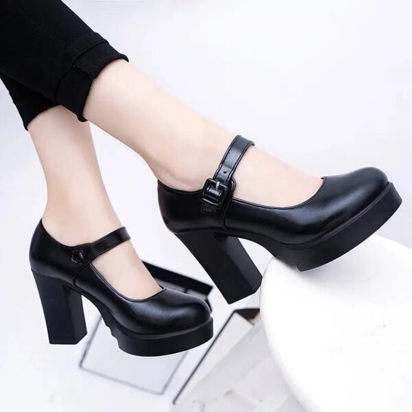 Fashion Work Shoes for Women Mary Jane Shoes 2024 Spring Thick Heel Platform Women's High Heels Trendy Comfortable Women's Shoes-Solefeat