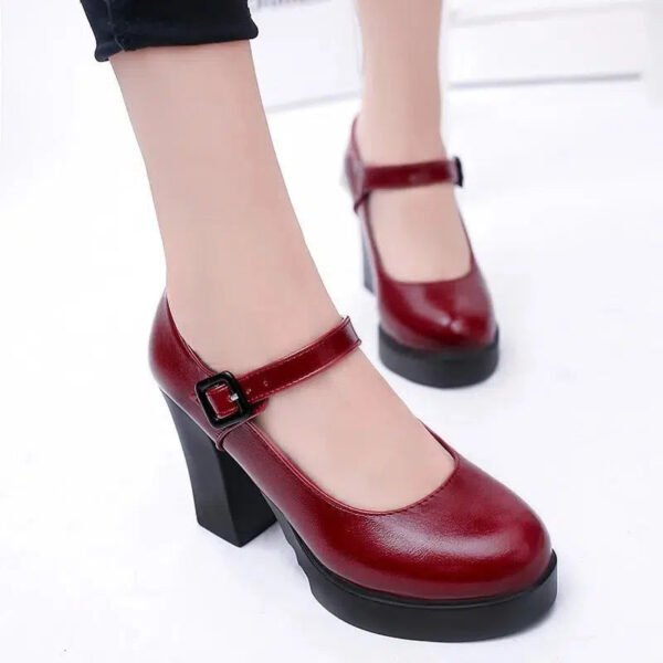 Fashion Work Shoes for Women Mary Jane Shoes 2024 Spring Thick Heel Platform Women's High Heels Trendy Comfortable Women's Shoes-Solefeat