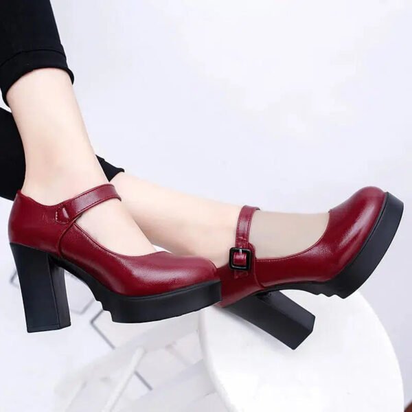 Fashion Work Shoes for Women Mary Jane Shoes 2024 Spring Thick Heel Platform Women's High Heels Trendy Comfortable Women's Shoes-Solefeat